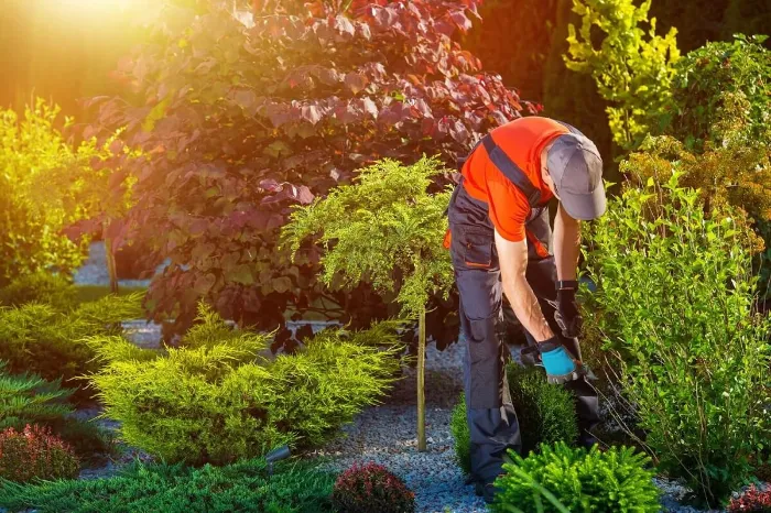 Landscaping Contractor in Charlotte, NC