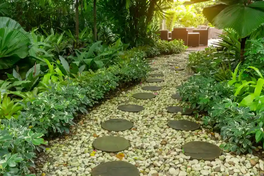 How Gardening Services Can Transform Your Outdoor Space in Charlotte, NC