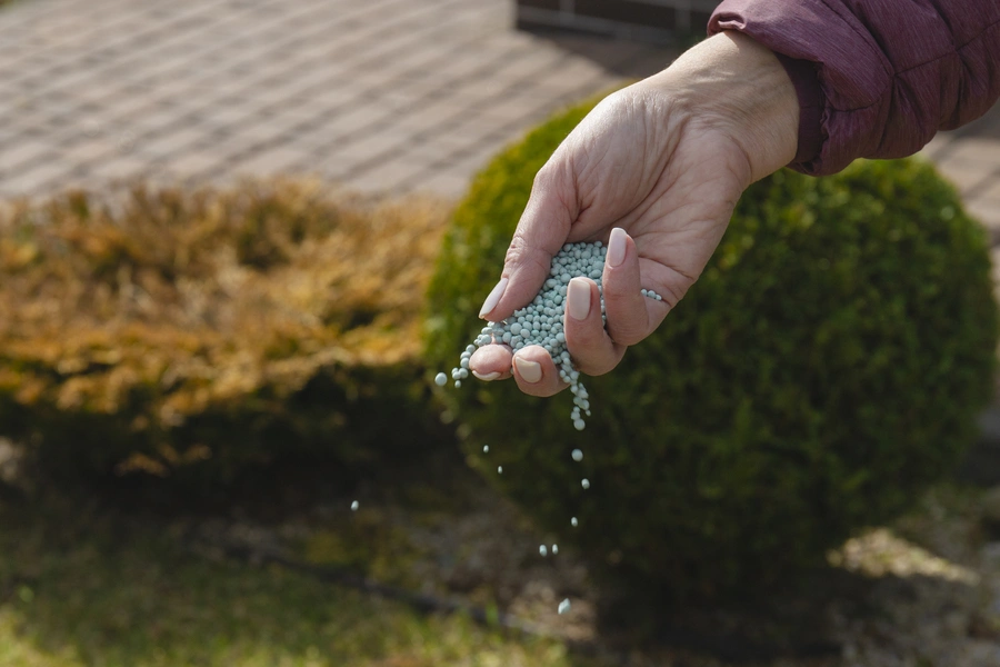 How Lawn Fertilizing Affects The Environment And Your Lawn Charlotte, NC