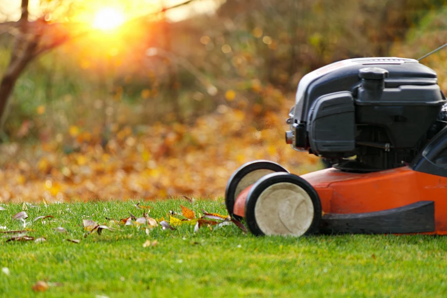 Lawn Care Tools Every Professional Landscaper Needs in Charlotte, NC