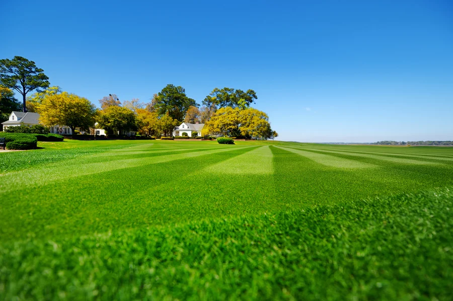 Seasonal Lawn Care Tips For A Healthy, Vibrant Yard in Charlotte, NC