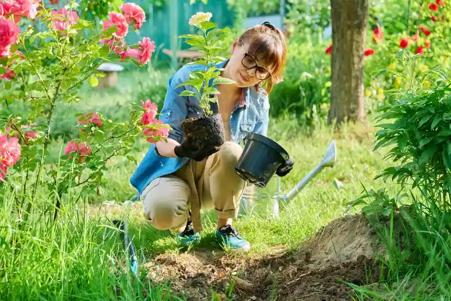 The Benefits Of Regular Gardening Services For Your Lawn Charlotte, NC