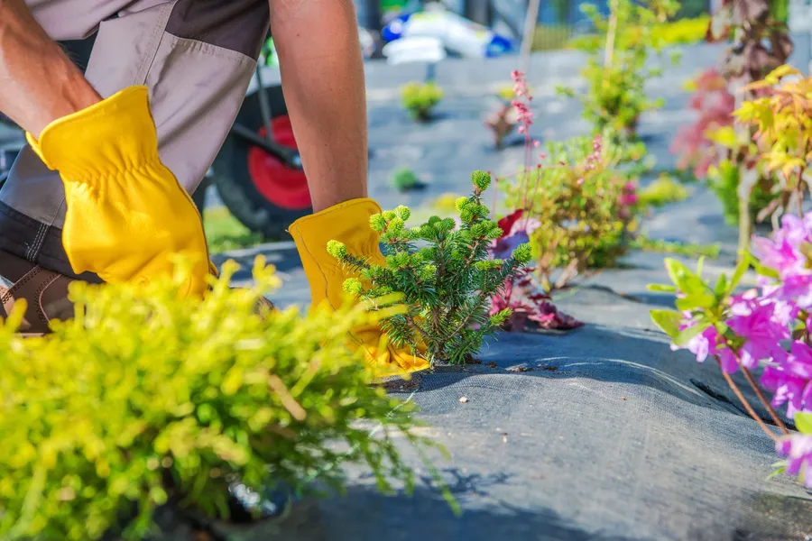 The Benefits Of Regular Gardening Services For Your Lawn in Charlotte, NC