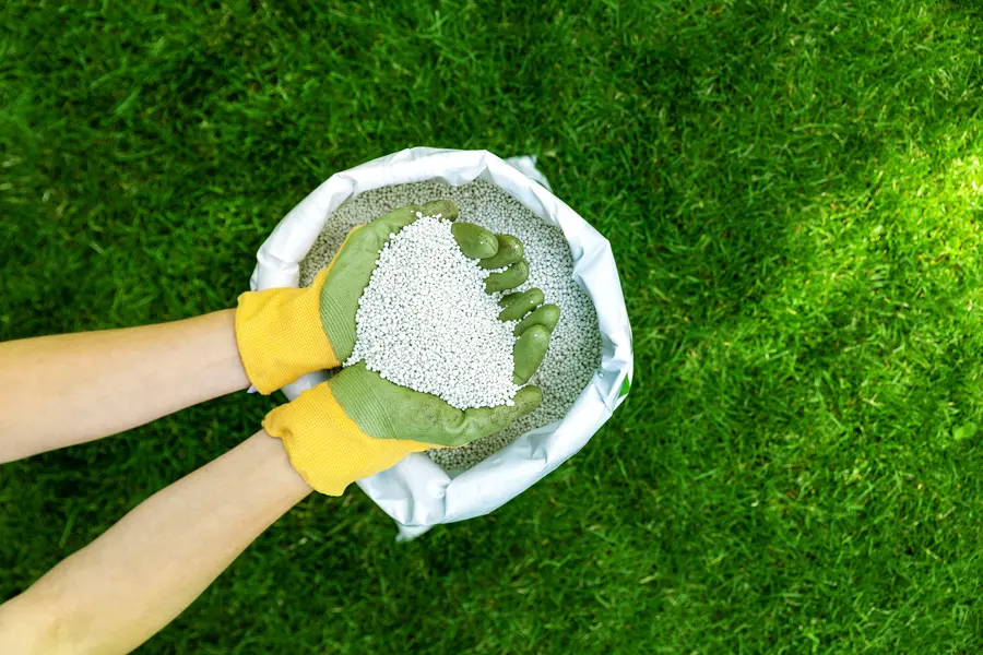 Understanding Timing For Lawn Fertilizing Services Charlotte, NC